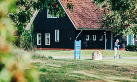 Limburg populairste bungalowparkbestemming, smerig huisje grootste ergernis